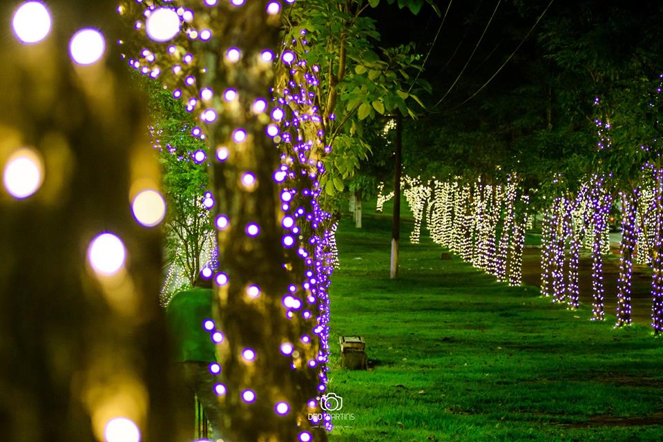 Bom Dia Pará, Telespectadora envia foto da decoração natalina de  Parauapebas